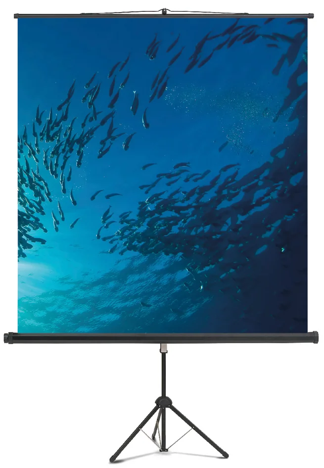 magnetoplan Ecran de projection sur trépied, 1.500 x 1.500mm