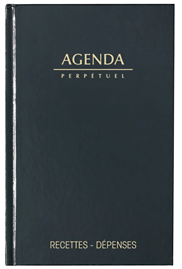 LECAS Agenda perpétuel Recettes - Dépenses