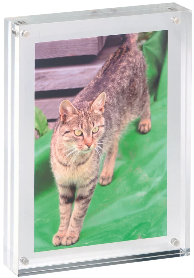 MAUL Cadre photo, (L)75 x (P)20 x (H)50 mm, transparent