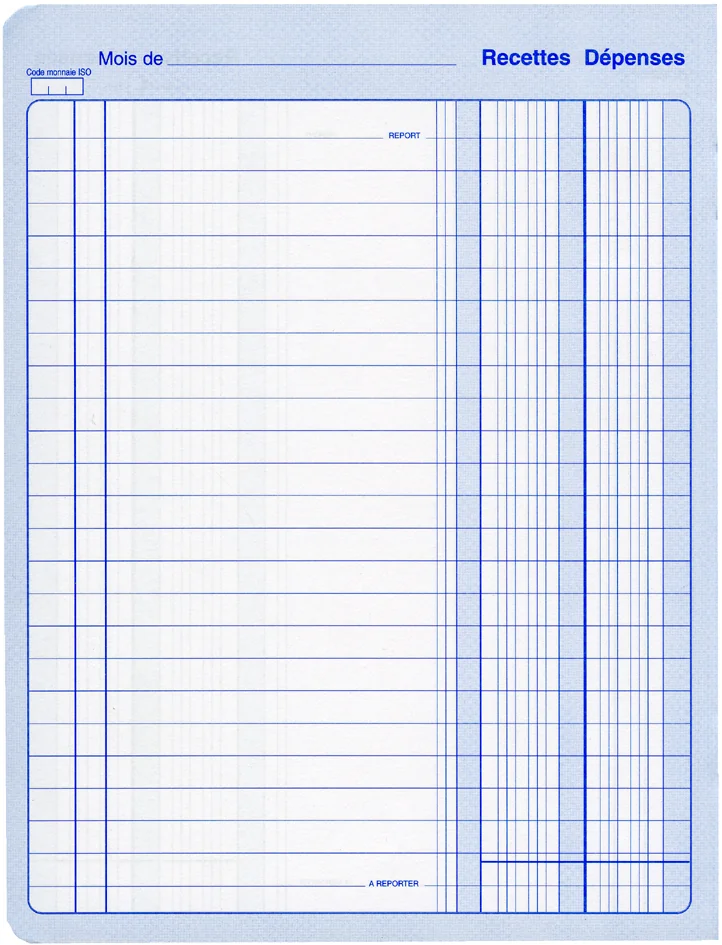 ELVE Cahier piqué 'Recettes - Dépenses', 220 x 170 mm