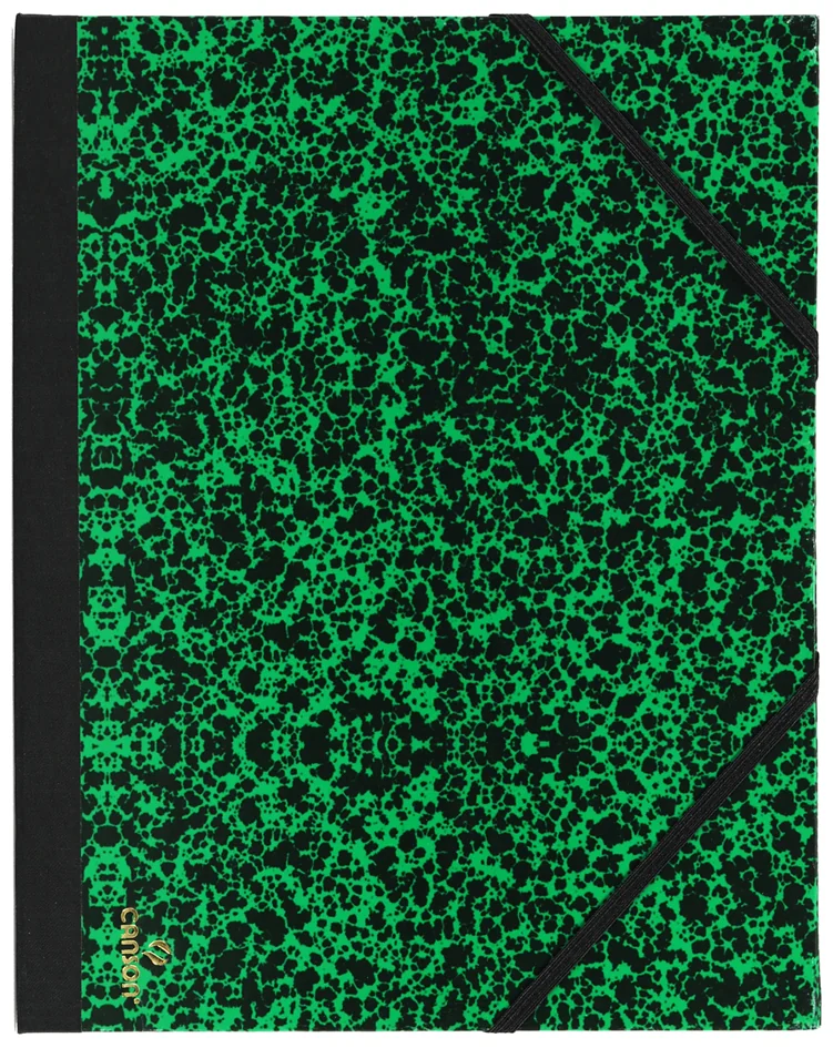 CANSON Carton à dessin STUDIO, 260 x 330 mm, Vert Annonay