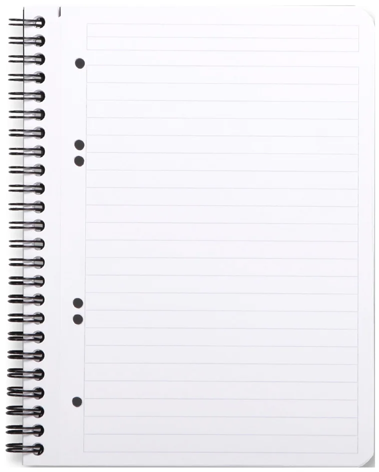 RHODIA Cahier à spirale 'Note Book', A5, quadrillé 5x5, noir Grand Paris Fournitures RHODIA Cahier à spirale 'Note Book', A5, quadrillé 5x5, noir – Image 3