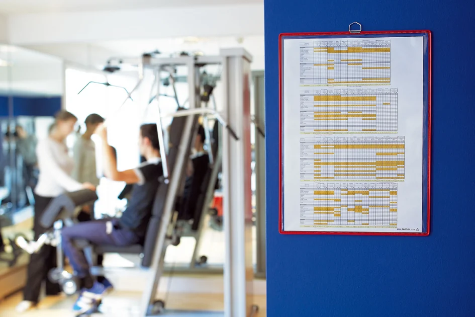 djois by tarifold Poche à anse, format A3, vertical, assorti