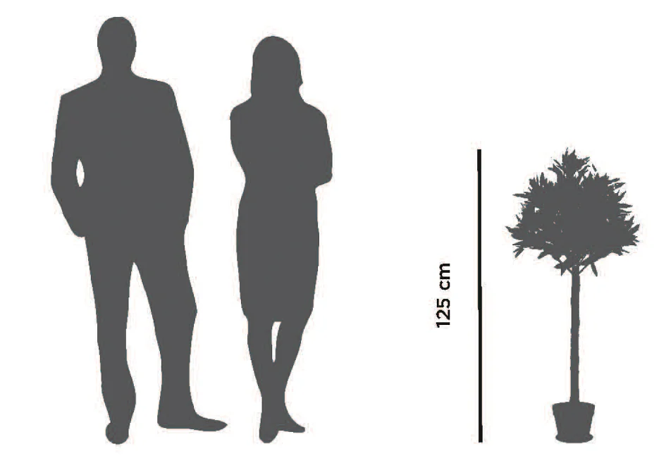 PAPERFLOW Plante artificielle 'Olivier', hauteur : 1.250 mm