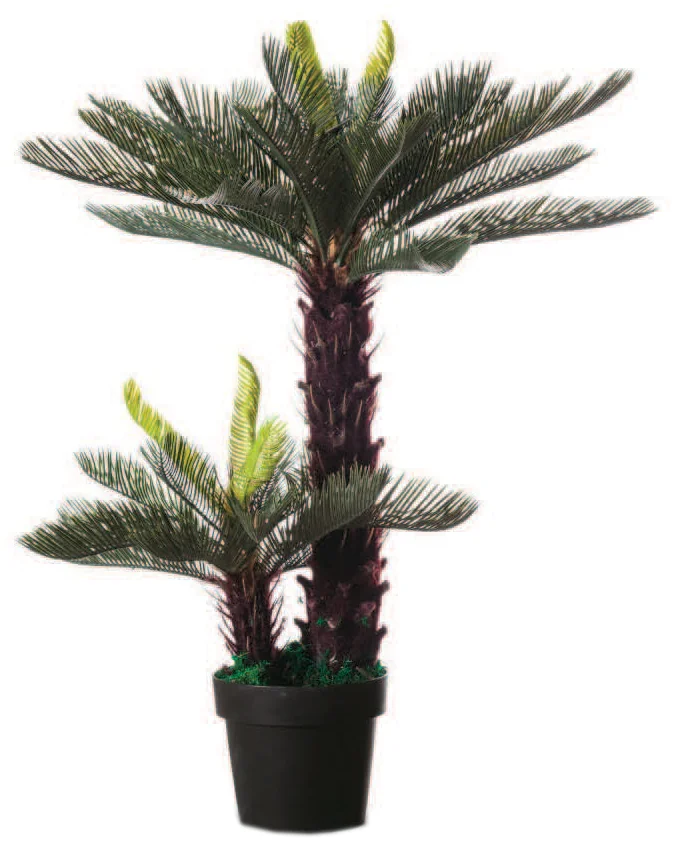PAPERFLOW Plante artificielle 'Cycas', hauteur : 800 mm