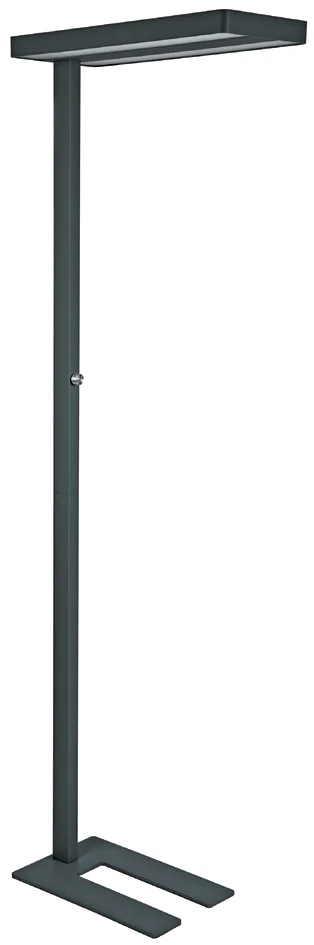 MAUL Lampadaire à LED MAULjaval, dimmable, avec socle