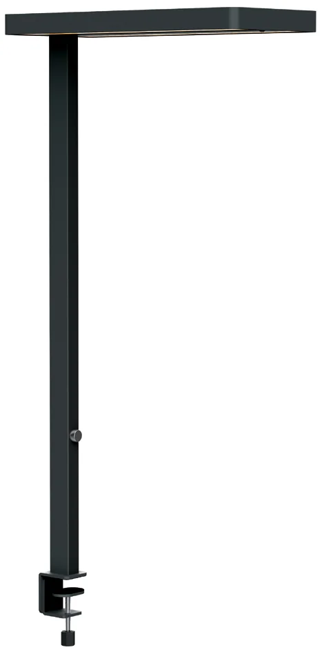 MAUL Lampadaire de bureau à LED MAULjuvis sensor, pince