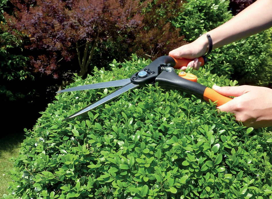 Garten PRIMUS Cisaille à buis, grand, longueur: 435 mm