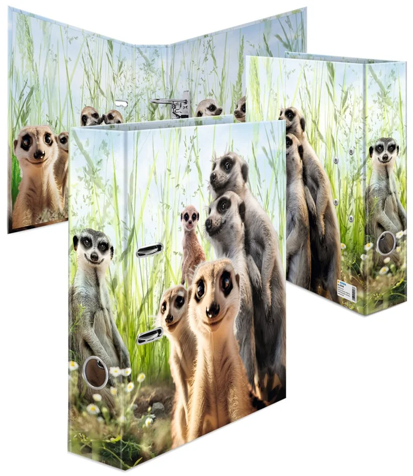 HERMA Classeur à motifs 'Suricates', A4, largeur dos: 70 mm