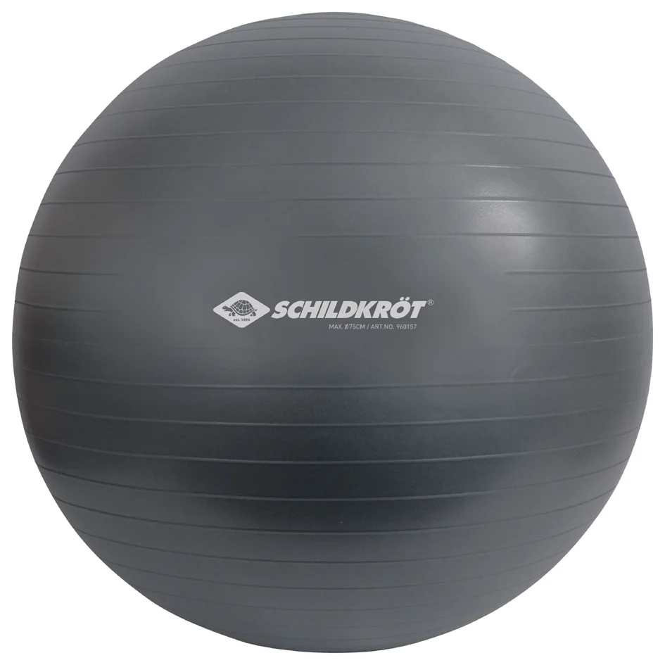 SCHILDKRÖT Ballon de gymnastique, diamètre:750 mm,anthracite Grand Paris Fournitures SCHILDKRÖT Ballon de gymnastique, diamètre:750 mm,anthracite – Image 3