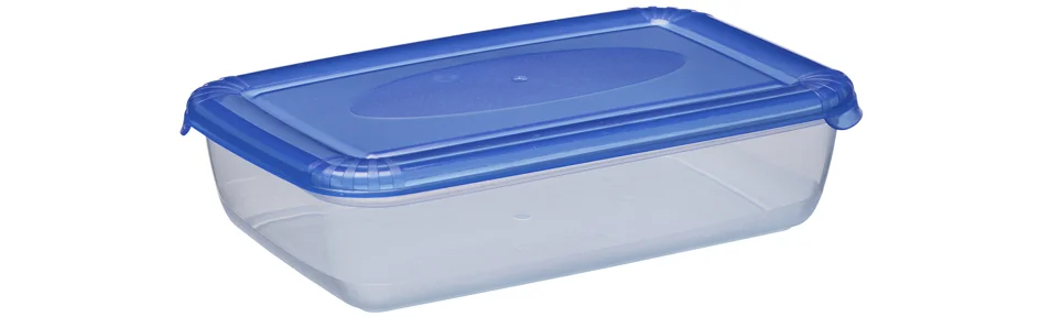 plast team Boîte de congélation Polar, 0,9 litre, bleu