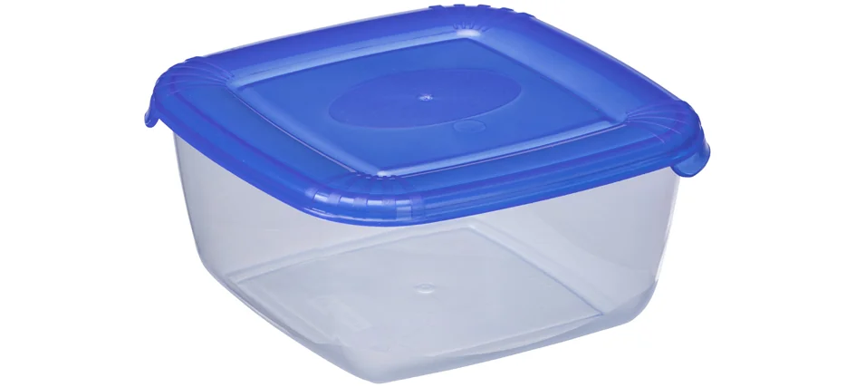 plast team Boîte de congélation Polar, 0,46 litre, gris