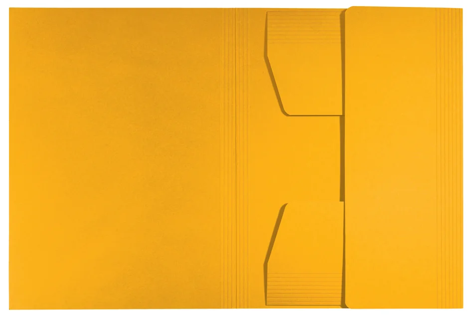 LEITZ Chemise-trieur, A4, carton de 430 g/m2, jaune