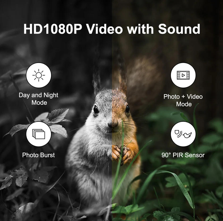 LogiLink Caméra pour la faune avec vue nocturne