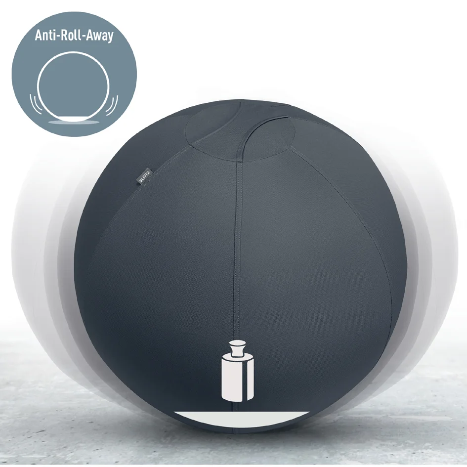 LEITZ Ballon d'assise Ergo Active, diamètre: 550 mm, gris