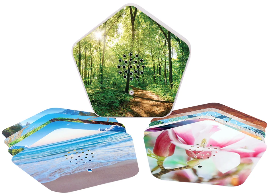 OLYMP Boîte à gazouillis, 4 sons, présentoir, blanc